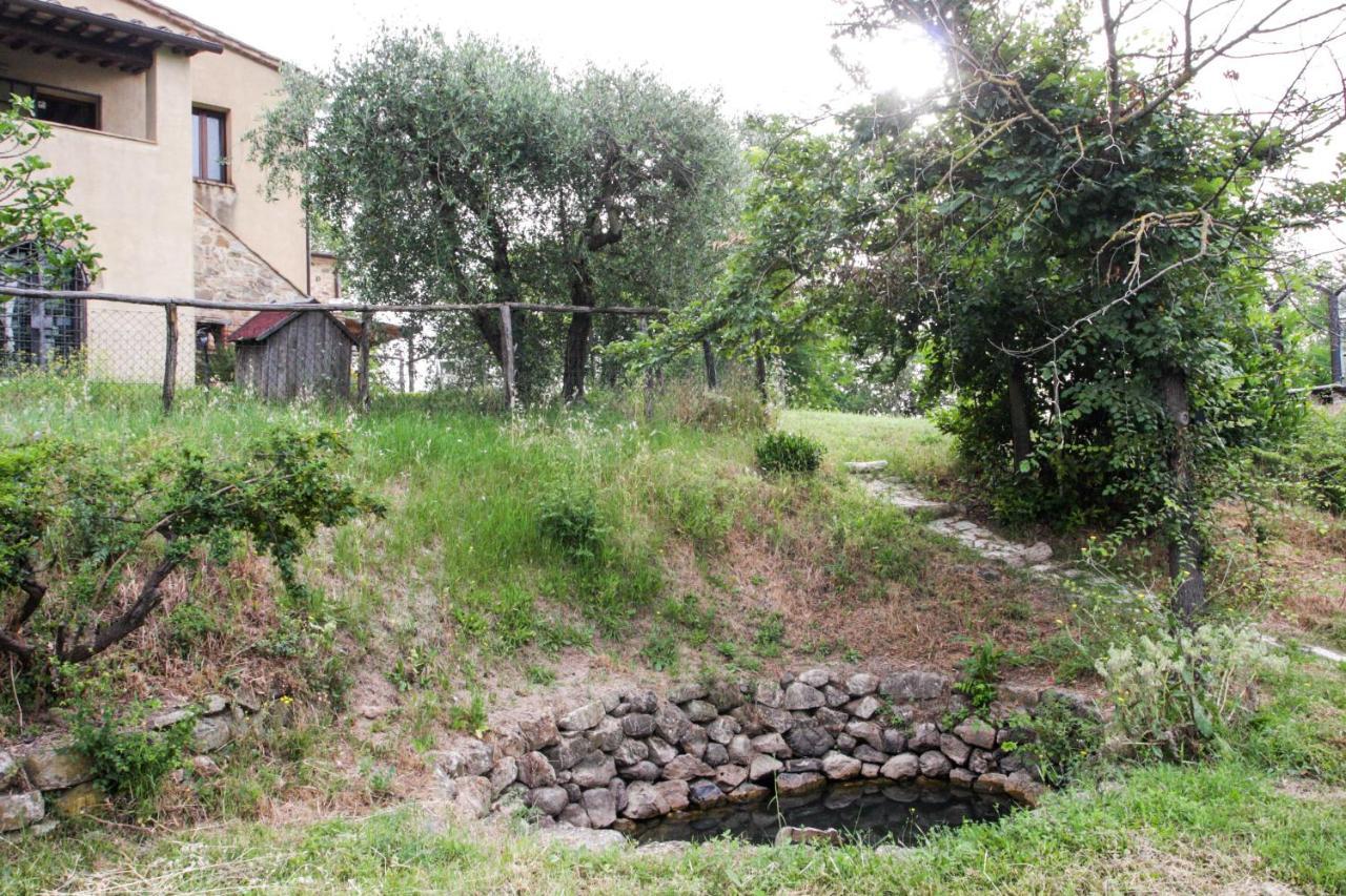 Terra Della Lanterna Cetona Exterior foto